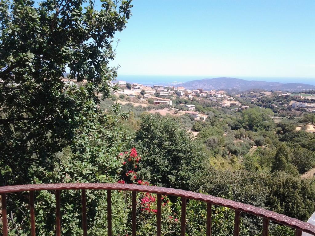 Le Roverelle Ilbono Quarto foto